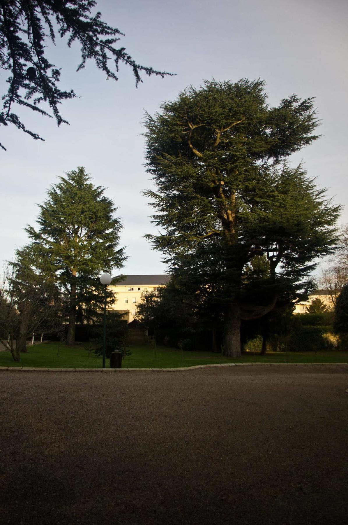 Promotel Saint-Jean-de-Braye Exterior foto